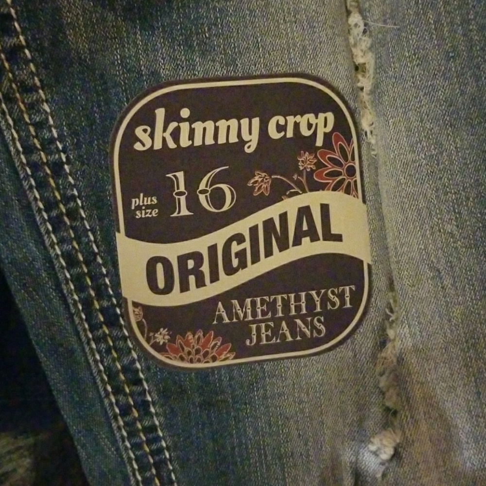 Skinny Corp original Amethyst Jeans Plus size 16 - Picture 2 of 8